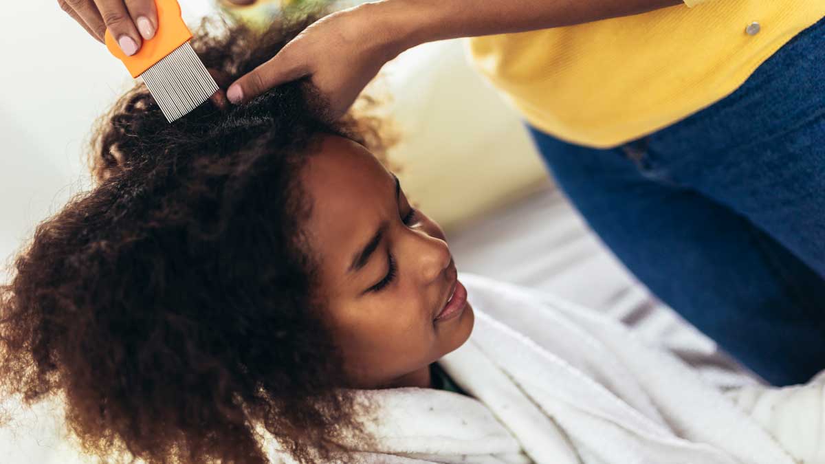 A young girl getting her hair combed, checking for lice