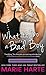 What to Do with a Bad Boy (The McCauley Brothers, #4)