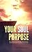 Your Soul Purpose: Reincarn...