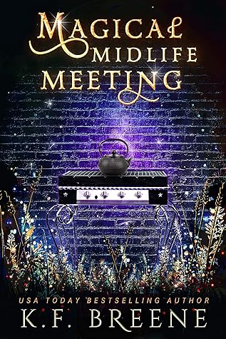 Magical Midlife Meeting (Leveling Up, #5)