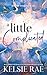 A Little Complicated (The Little Things Book 1)