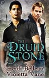 The Druid Stone by Heidi Belleau