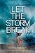 Let the Storm Break (Sky Fall, #2)