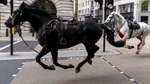 A black and white horse run through the street in central London