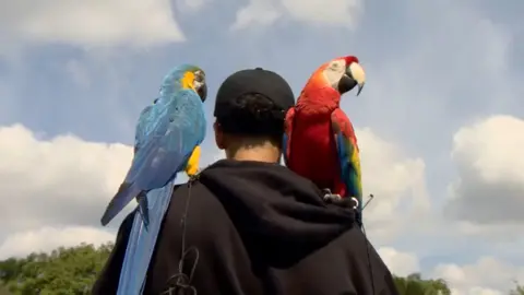 Hisham with Happy on his left shoulder and Scarlet on his right shoulder