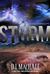 Storm (The SYLO Chronicles, #2) by D.J. MacHale