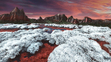 Red Moss Fields from a planet in the Juliet System inside the Neutral Zone. From the novel Gateway