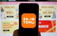 Indonesia's ban on Temu won't spread across Southeast Asia: analysts