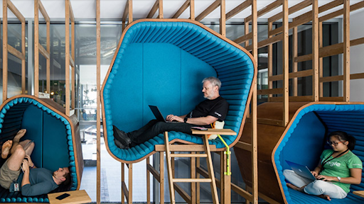 Google employees work in uniquely-shaped chairs. Each chair is blue and looks like a pod, with a short ladder leading up to it.