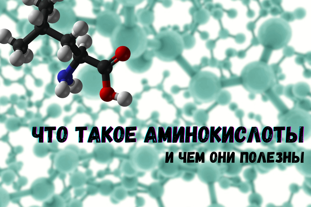 Что такое аминокислоты и чем они полезны?