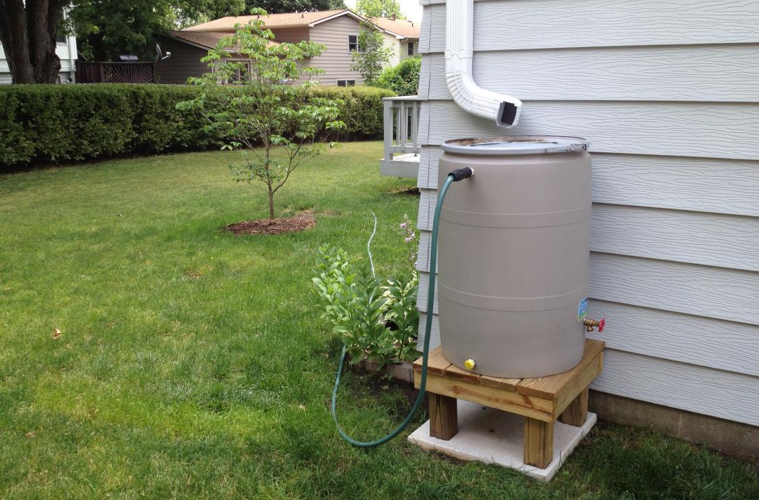 A rain barrel on a wooden stand next to a house with a hose running to a tree