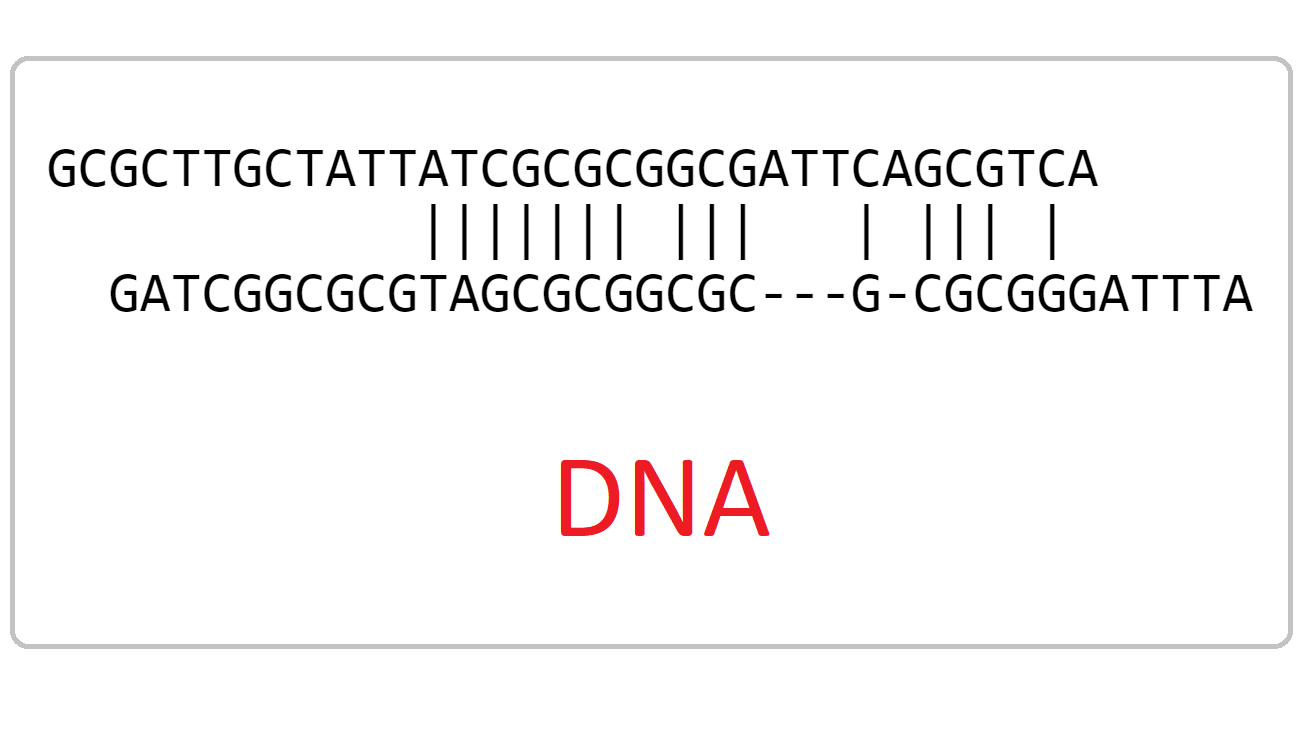 DNA-complementarity-alignment-in-JS