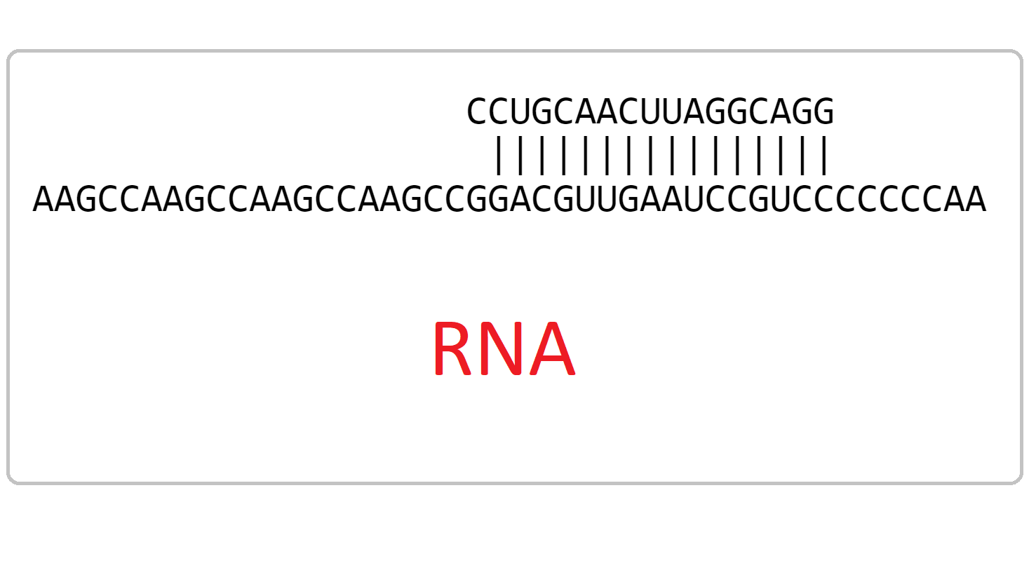 RNA-complementarity