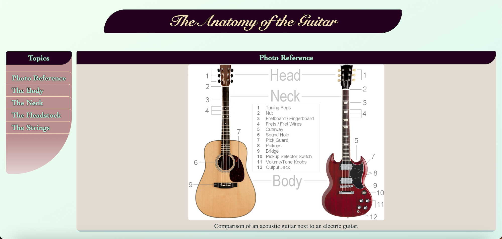 The-Anatomy-of-the-Guitar