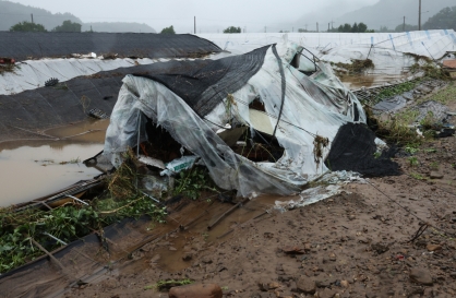 Rain batters Korea's southern regions, 'heaviest in 200 years'