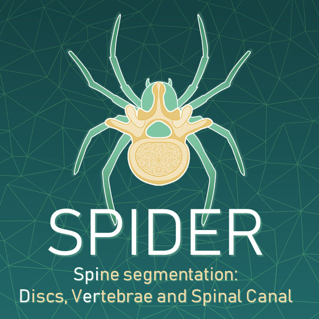 SPIDER Baseline nnU-Net Logo
