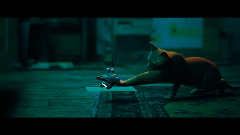 Still from the announcement trailer of Stray for Switch. The cat paws at a drone.