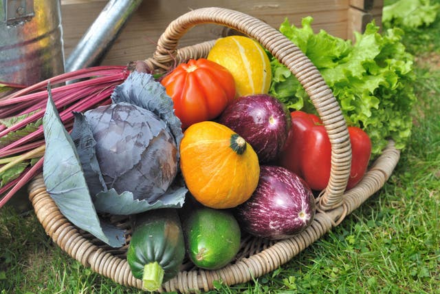 If you’ve had a glut of fruit and veg, you won’t want anything to go to waste (Alamy/PA)